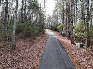 Lot 3 Papas Mountain Rd, Blairsville, GA 30512