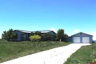 3500 Road, Redvale, CO 81431