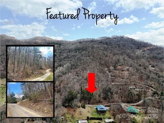 TBD Moonbeam Ln Unit 101 & 102, Clyde, NC 28721