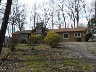 291 High Wood Ln, Zirconia, NC 28790