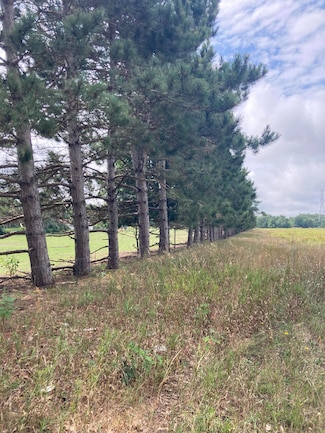 V/L N 88th Ave, Pentwater, MI 49449