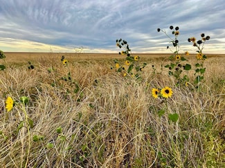 0 Tbd County Rd N, Eads, CO 81036