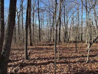 Lot 3 Sycamore Bend, Monterey, TN 38574