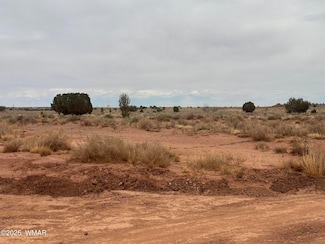 5103 Windmill Ln, Snowflake, AZ 85937