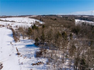 Lot 20 Casler Rd, Little Falls, NY 13365