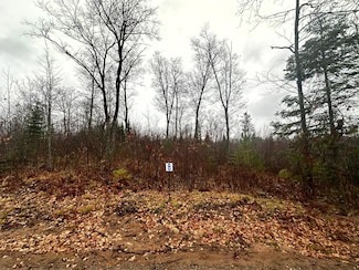 Lot 8 County Highway B, Land O' Lakes, WI 54540
