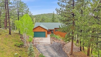 13340 S Cedar Cir, Pine, CO 80470