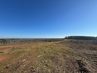 0 County Road 278 Unit 22289211, Five Points, AL 36855