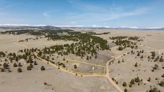 2345 Arapahoe Trail, Hartsel, CO 80449