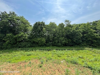 1016 Dry Run Ct, Shelbyville, KY 40065
