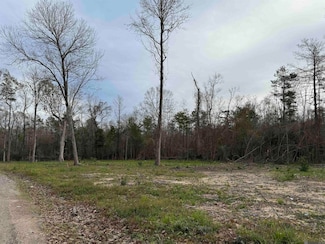 29428 Linda Haven, Springfield, LA 70462