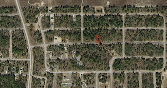 2333 W Chamberlain St, Citrus Springs, FL 34434
