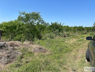 15732 Primera Rd, Harlingen, TX 78552