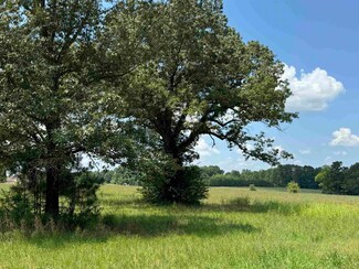 0 Dr Williams Dr Unit 10178488, Michie, TN 38357