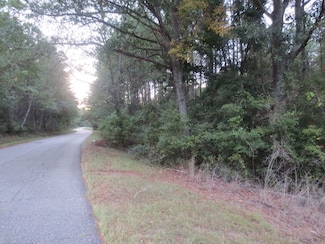 0 Dykes Rd Unit LotWP002 22398857, Prentiss, MS 39474