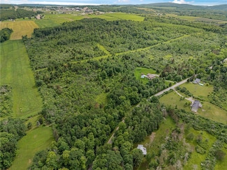 2868 Townsend Rd, Dix, NY 14891