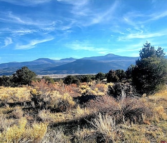 1094 & 1343 Valley View Rd, South Fork, CO 81154