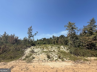 467 Alton Stewart Rd, East Dublin, GA 31027