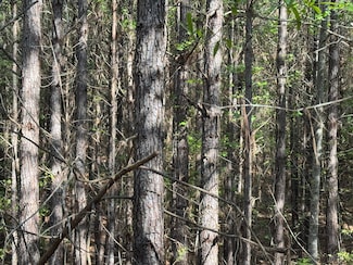 Abbott Rd, Jacksons Gap, AL 36861