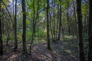 Lot 4 20th St, Necedah, WI 54646