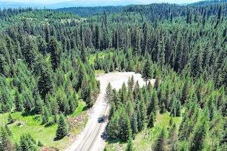 TBD Parcel 3 Phase 3 Tree Farm Trail, Elk City, ID 83525