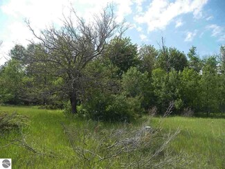 4068 E Sandy Ln, Cedar, MI 49621