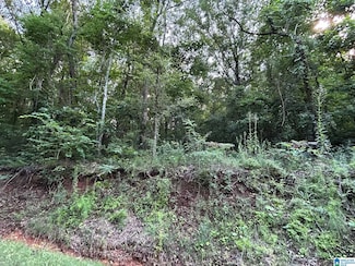 0 County Road 31 Unit 14 21427491, Alexandria, AL 36250