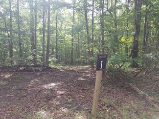 Lot 1&2 Deepwoods Rd, Monteagle, TN 37375