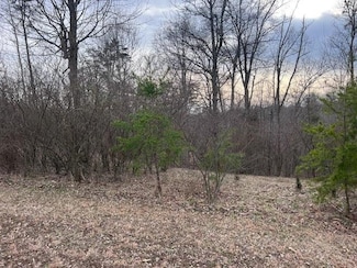 Lot 16 Chrystal Ln, Barboursville, WV 25504