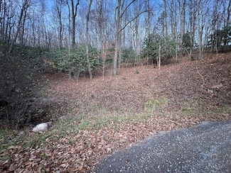Lot 65 Cove Creek Rd, Tazewell, VA 24651