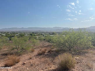 D-1 Lincoln Dr, Tonto Basin, AZ 85553