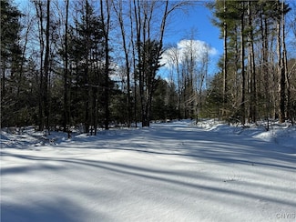 0 Stone Hill Rd Unit S1591176, Williamstown, NY 13493