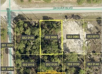 1136 Jaguar Blvd, Lehigh Acres, FL 33974