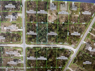 0 Mississippi Kite Ave Unit 2256187, Weeki Wachee, FL 34614