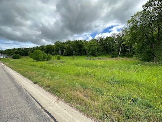 1493 Michigan Ave Unit LotWP001, Detroit Lakes, MN 56501