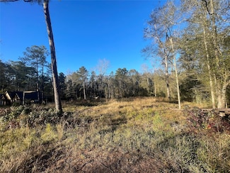 3411 Roman Forest Blvd, New Caney, TX 77357