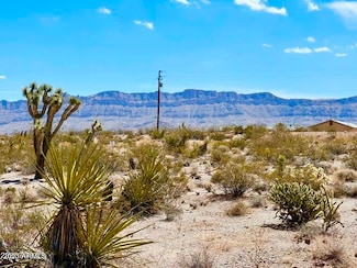 30390 N Dutton Dr Unit 182, Meadview, AZ 86444