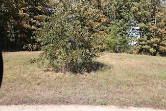 000 Wild Turkey Trail Unit Block 1 Lot 2, West Plains, MO 65775