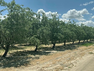 12250 S Jameson Ave, Fresno, CA 93706