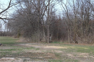 401 E Olive St, Bellflower, MO 63333