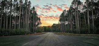 Lot 4 Dahlia Ct NW, Stanford Township, MN 55040