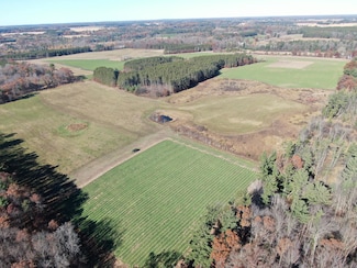 10061 Flume Rd, Rosholt, WI 54473