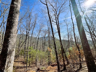 00 Nelson Ridge Rd, Hayesville, NC 28904