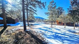 165 Bristlecone Dr, South Fork, CO 81154