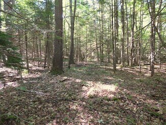 0 Route 114, Sutton, NH 03273