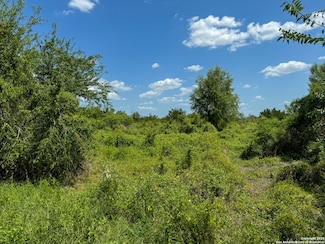 000 Deer Run Trace, Three Rivers, TX 78071