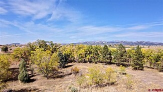 32067 U S 160, Durango, CO 81301