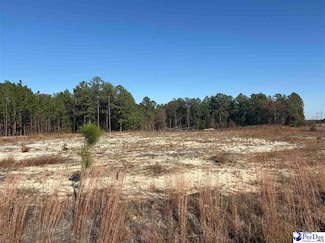 TBD Ruby Rd, Hartsville, SC 29550