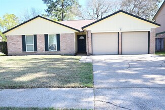 23534 Briarcreek Blvd, Spring, TX 77373