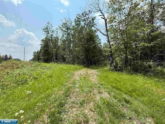 TBD Samuelson Road-Sec22, Angora, MN 55703